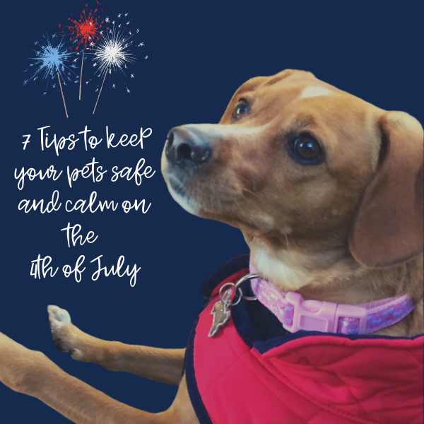 7 Tips for Keeping Dogs Safe During Fireworks