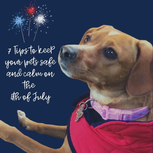 Keeping Pets Safe & Calm this 4th of July